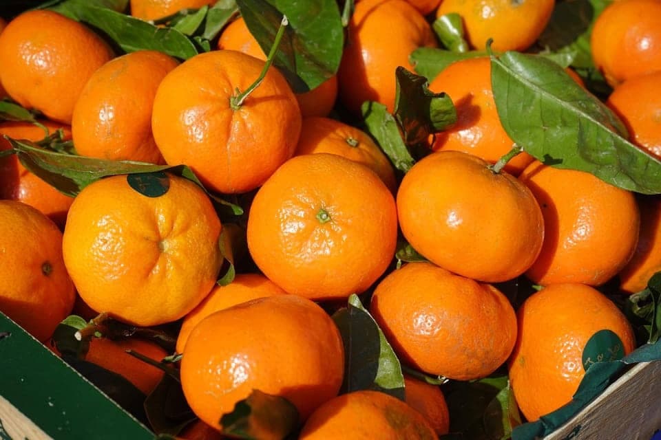 Citrus fruits